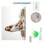 Колготки компрессионные Memory Aloe Vera Ofa Bamberg